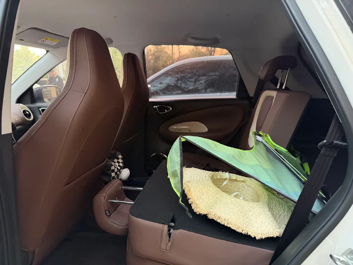 2023 WuLing BinGuo BEV 17.3KWH,autocango,china used car exporter,china ev exporter,chinese used car exporter,chinese used ev exporter