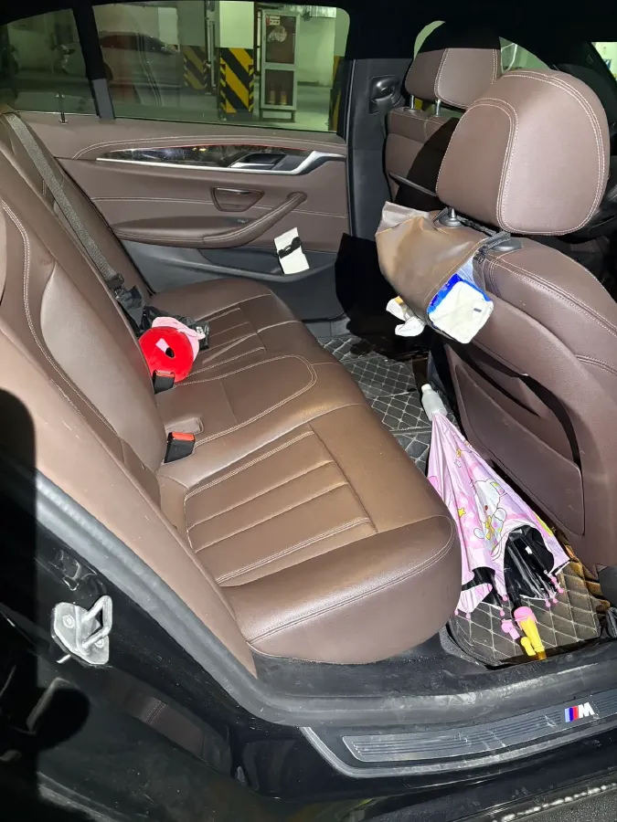 2020 BMW 5 Series 2.0T 184HP L4 8AT,autocango,china used car exporter,china ev exporter,chinese used car exporter,chinese used ev exporter