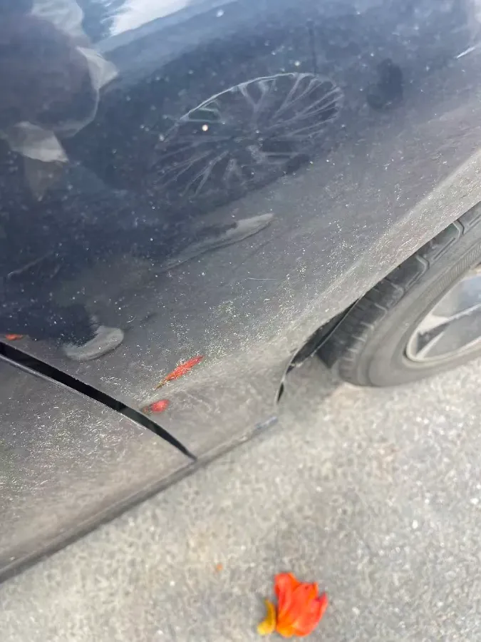 2022 Honda Civic 1.5T 182HP L4 CVT,autocango,china used car exporter,china ev exporter,chinese used car exporter,chinese used ev exporter