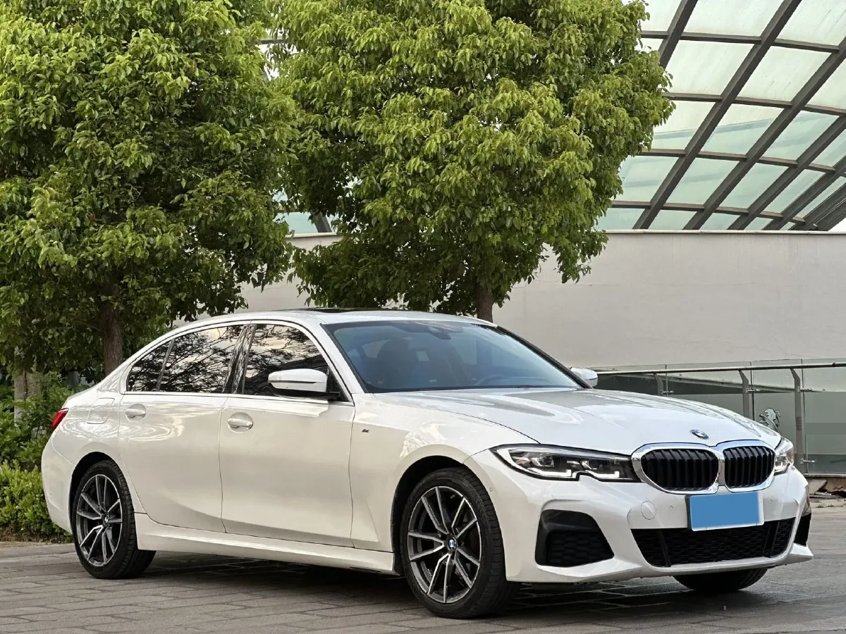 2021 BMW 3 Series 2.0T 184HP L4 8AT,autocango,china used car exporter,china ev exporter,chinese used car exporter,chinese used ev exporter