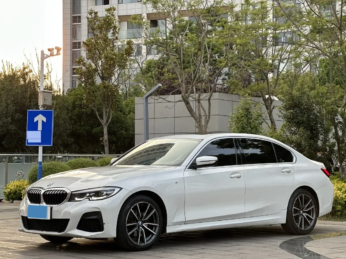2021 BMW 3 Series 2.0T 184HP L4 8AT,autocango,china used car exporter,china ev exporter,chinese used car exporter,chinese used ev exporter