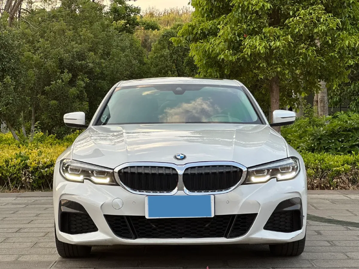 2021 BMW 3 Series 2.0T 184HP L4 8AT,autocango,china used car exporter,china ev exporter,chinese used car exporter,chinese used ev exporter