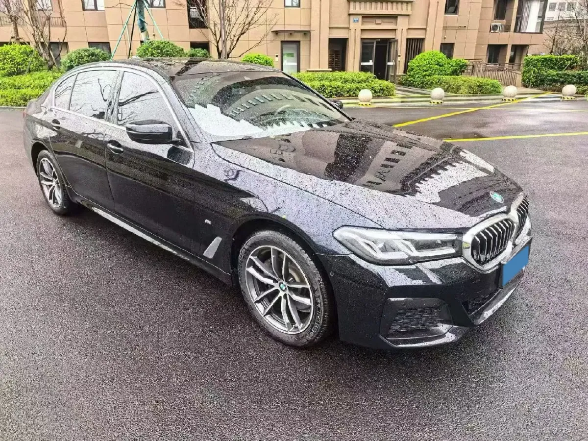 2021 BMW 5 Series 2.0T 184HP L4 8AT,autocango,china used car exporter,china ev exporter,chinese used car exporter,chinese used ev exporter