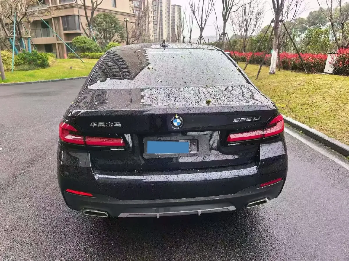 2021 BMW 5 Series 2.0T 184HP L4 8AT,autocango,china used car exporter,china ev exporter,chinese used car exporter,chinese used ev exporter