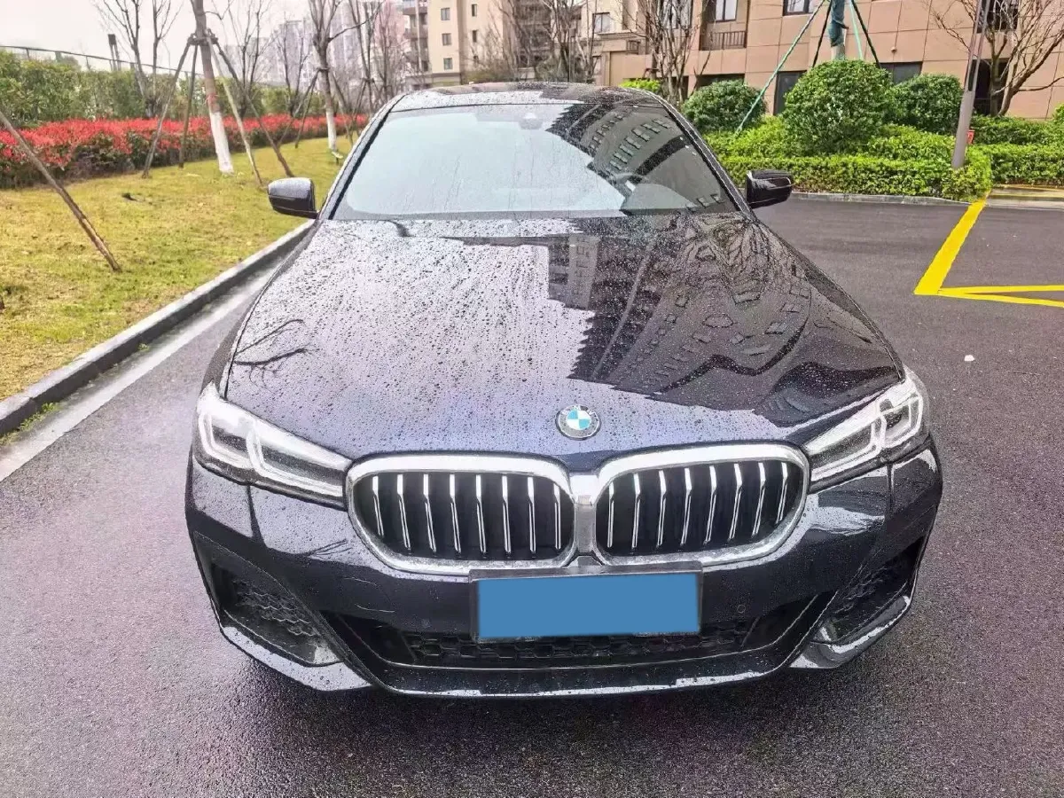 2021 BMW 5 Series 2.0T 184HP L4 8AT,autocango,china used car exporter,china ev exporter,chinese used car exporter,chinese used ev exporter
