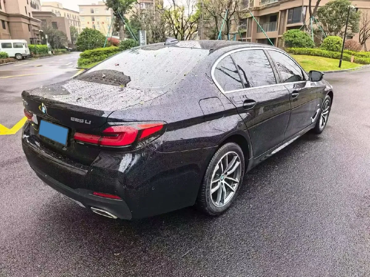 2021 BMW 5 Series 2.0T 184HP L4 8AT,autocango,china used car exporter,china ev exporter,chinese used car exporter,chinese used ev exporter