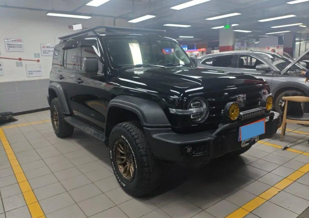 2021 Tank 300 2.0T 227HP L4 8AT,autocango,china used car exporter,china ev exporter,chinese used car exporter,chinese used ev exporter