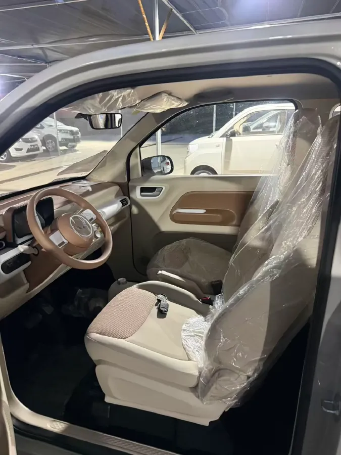 2024 WuLing HongGuang MINI EV BEV 17.3KWH,autocango,china used car exporter,china ev exporter,chinese used car exporter,chinese used ev exporter