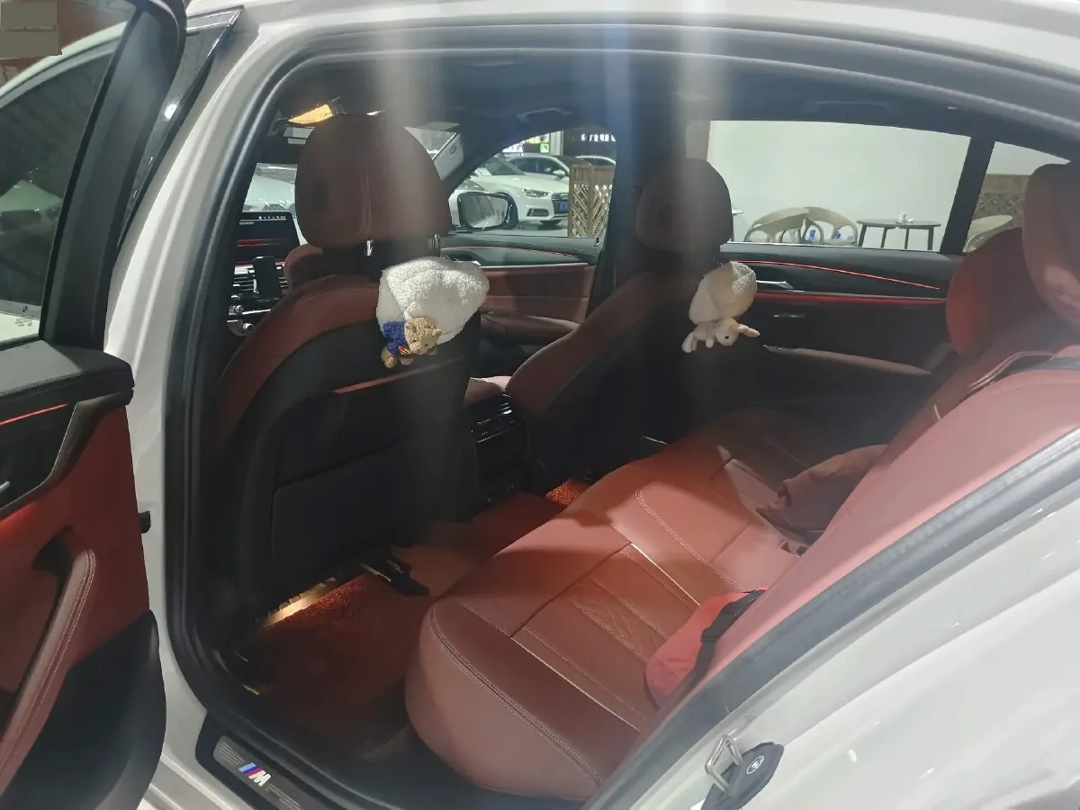 2022 BMW 5 Series 2.0T 252HP L4 8AT,autocango,china used car exporter,china ev exporter,chinese used car exporter,chinese used ev exporter