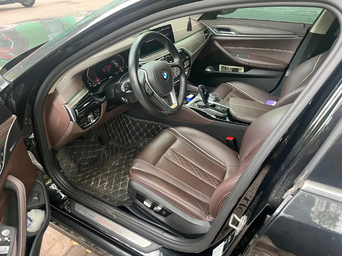 2020 BMW 5 Series 2.0T 252HP L4 8AT,autocango,china used car exporter,china ev exporter,chinese used car exporter,chinese used ev exporter