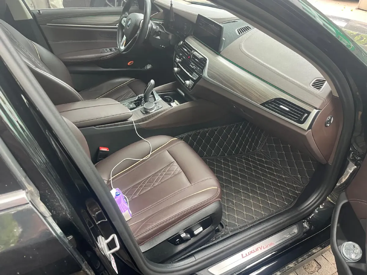 2020 BMW 5 Series 2.0T 252HP L4 8AT,autocango,china used car exporter,china ev exporter,chinese used car exporter,chinese used ev exporter