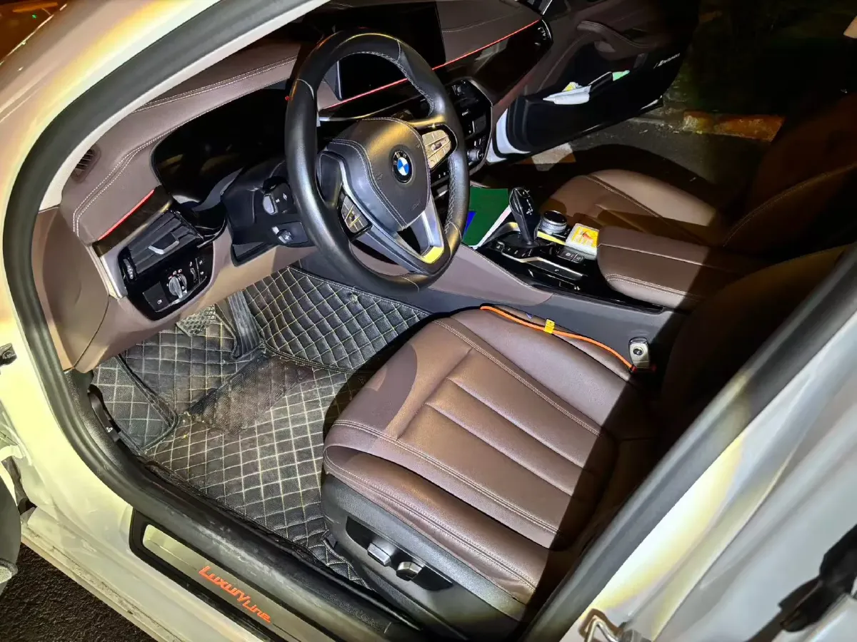 2020 BMW 5 Series 2.0T 184HP L4 8AT,autocango,china used car exporter,china ev exporter,chinese used car exporter,chinese used ev exporter