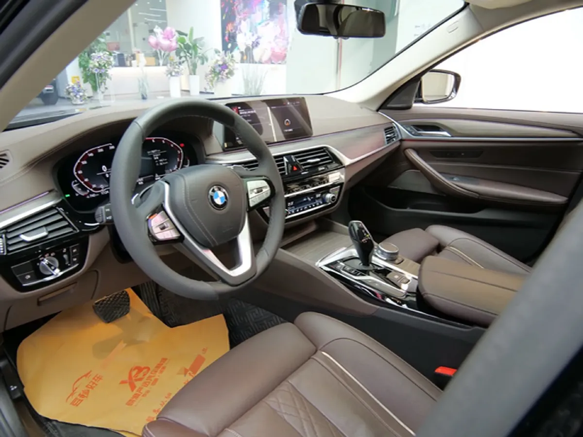 2020 BMW 5 Series 2.0T 252HP L4 8AT,autocango,china used car exporter,china ev exporter,chinese used car exporter,chinese used ev exporter