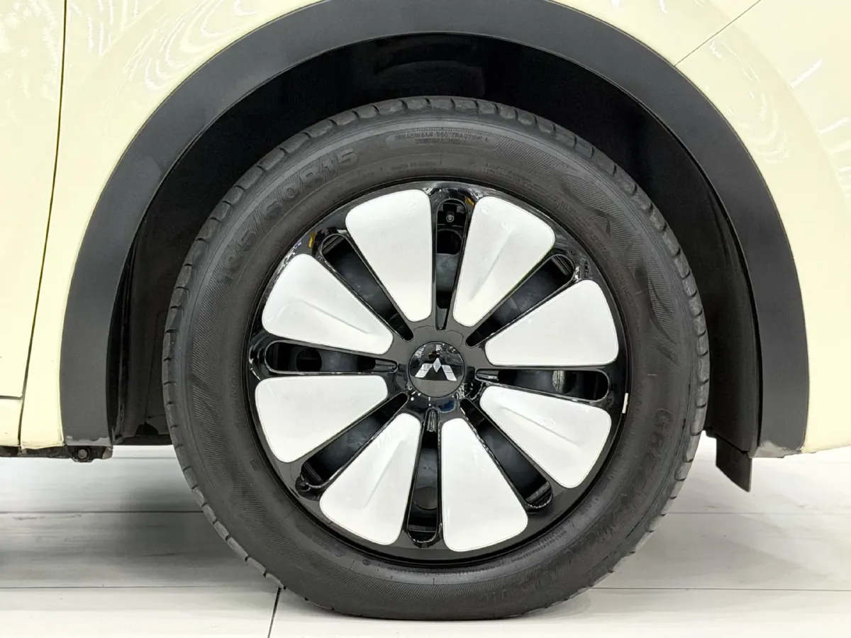 2024 WuLing BinGuo BEV 31.9KWH,autocango,china used car exporter,china ev exporter,chinese used car exporter,chinese used ev exporter