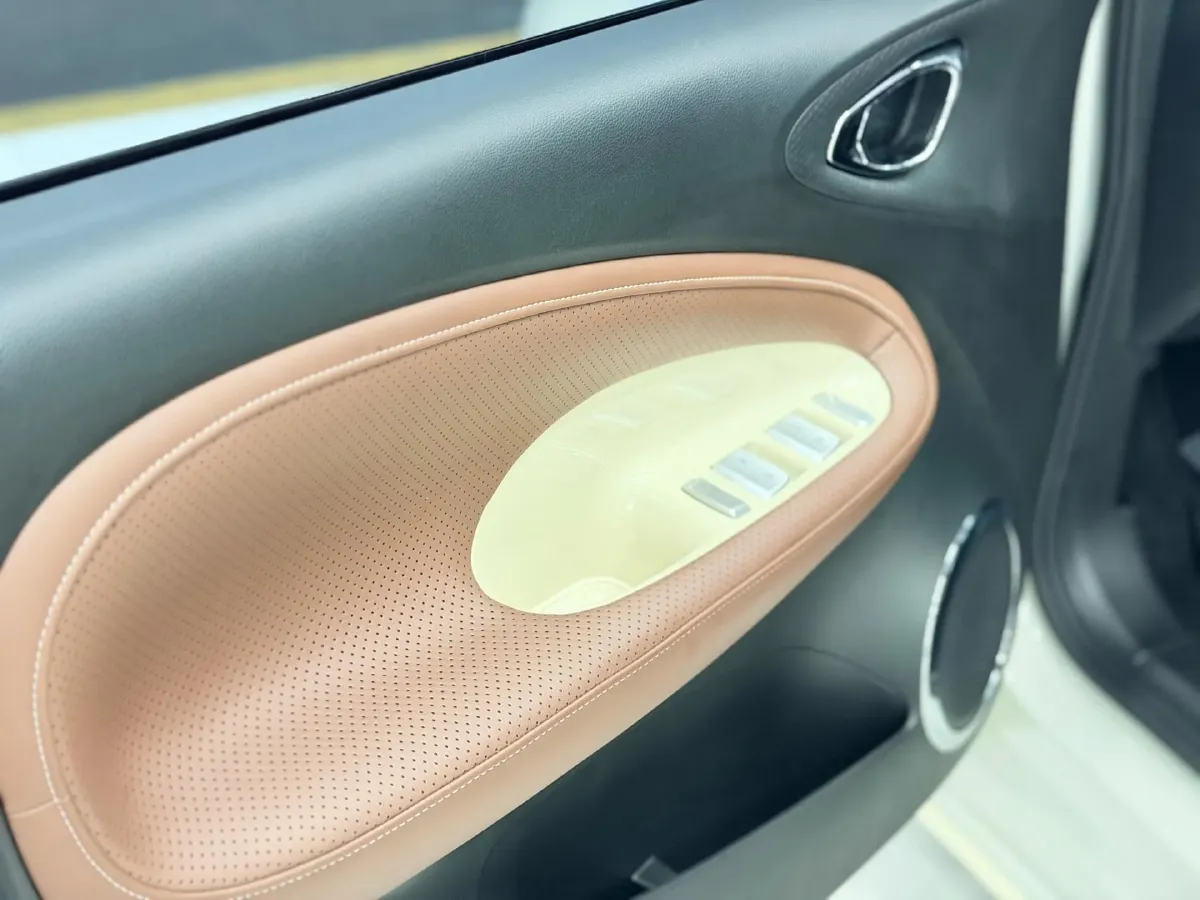 2024 WuLing BinGuo BEV 31.9KWH,autocango,china used car exporter,china ev exporter,chinese used car exporter,chinese used ev exporter