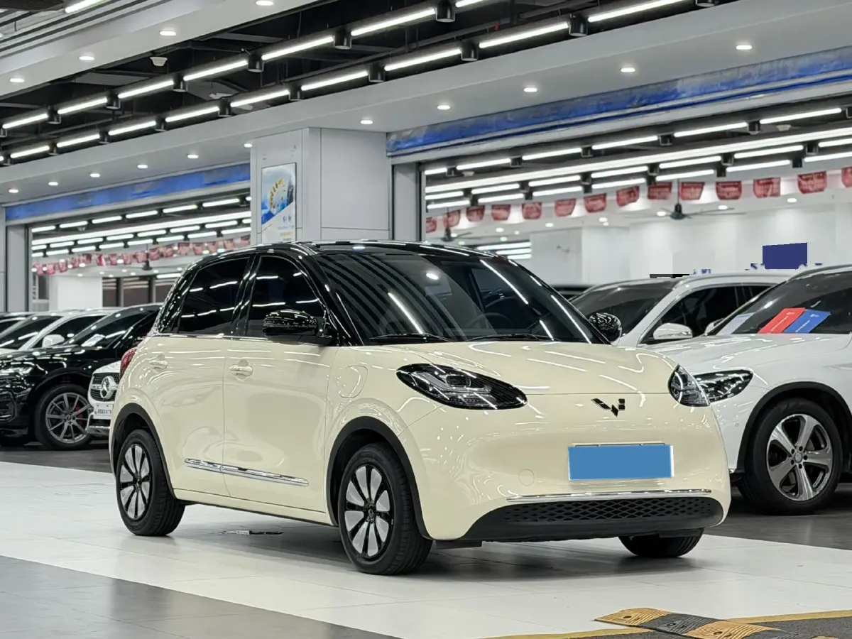 2024 WuLing BinGuo BEV 31.9KWH,autocango,china used car exporter,china ev exporter,chinese used car exporter,chinese used ev exporter