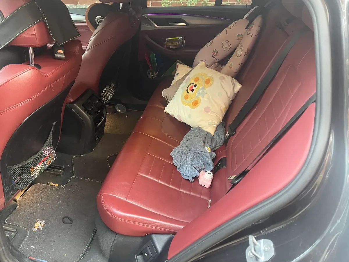 2020 BMW X4 2.0T 184HP L4 8AT,autocango,china used car exporter,china ev exporter,chinese used car exporter,chinese used ev exporter