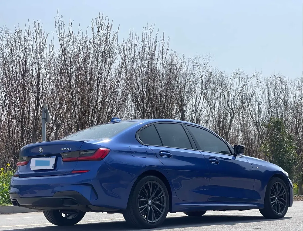 2020 BMW 3 Series 2.0T 184HP L4 8AT,autocango,china used car exporter,china ev exporter,chinese used car exporter,chinese used ev exporter
