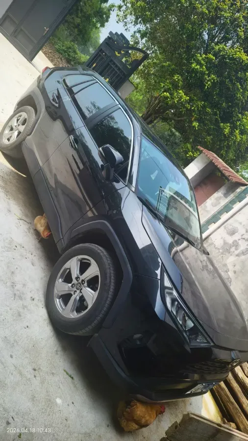 2022 Toyota RAV4 2.0L 171HP L4 CVT,autocango,china used car exporter,china ev exporter,chinese used car exporter,chinese used ev exporter