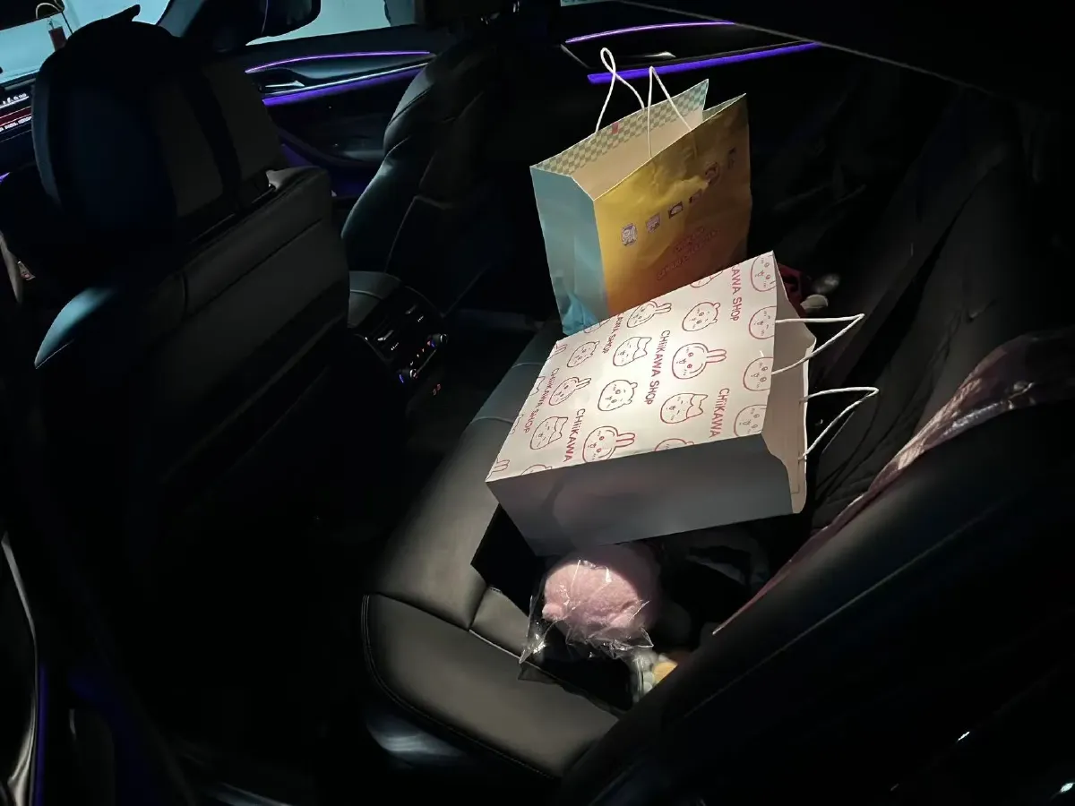 2021 BMW 5 Series 3.0T 340HP L6 8AT,autocango,china used car exporter,china ev exporter,chinese used car exporter,chinese used ev exporter