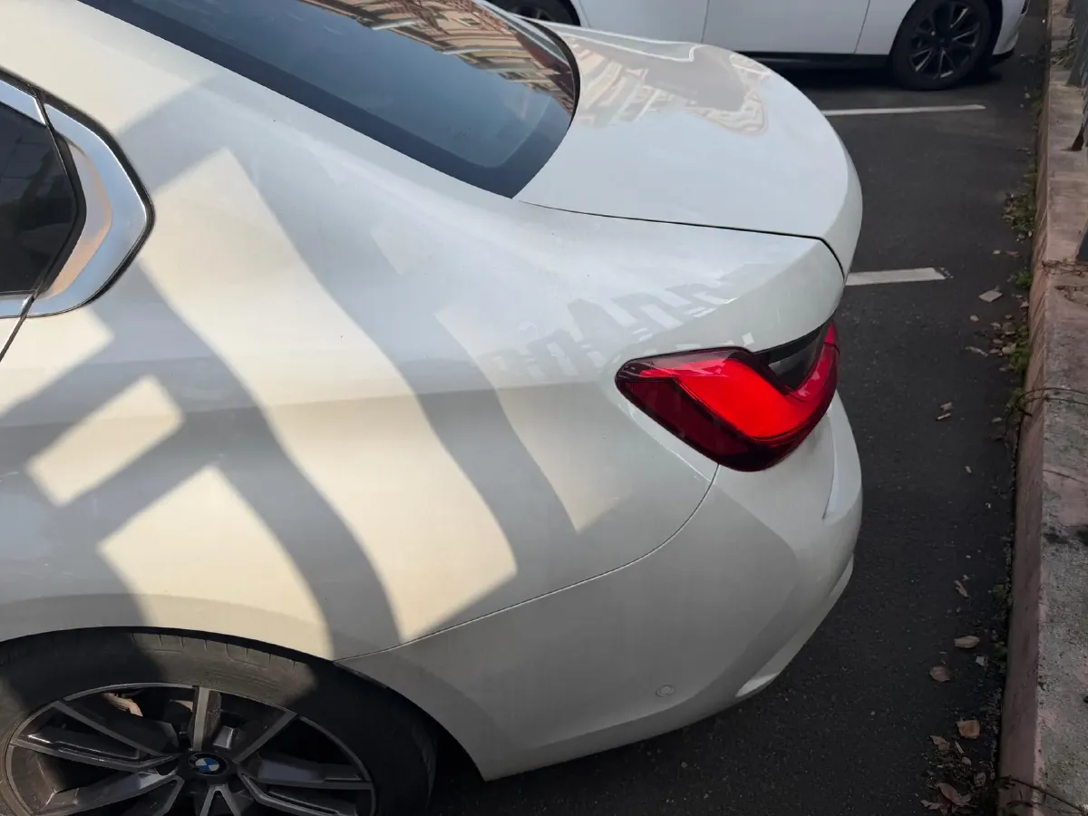 2021 BMW 3 Series 2.0T 184HP L4 8AT,autocango,china used car exporter,china ev exporter,chinese used car exporter,chinese used ev exporter