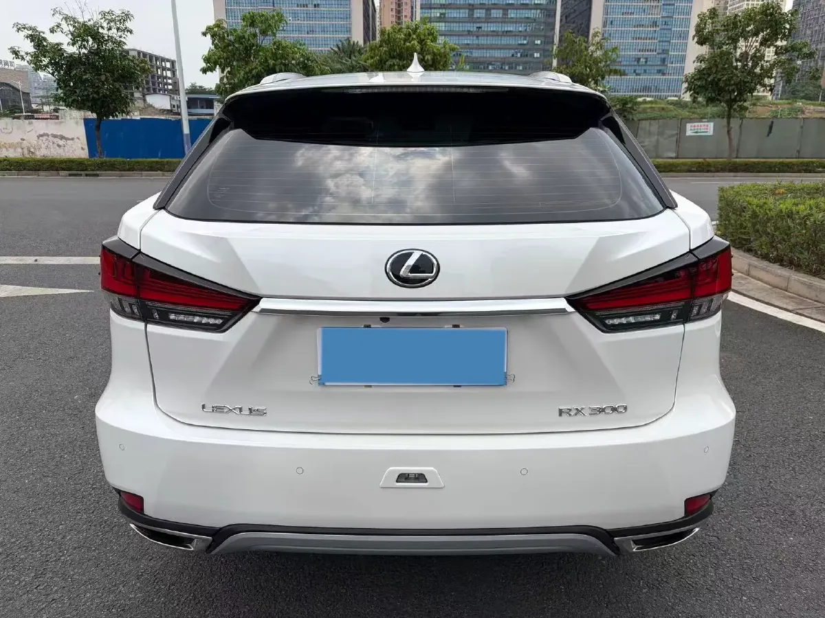 2020 Lexus RX 2.0T 231HP L4 6AT,autocango,china used car exporter,china ev exporter,chinese used car exporter,chinese used ev exporter