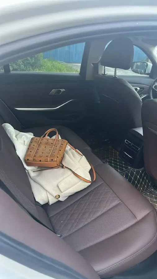 2023 BMW 3 Series 2.0T 156HP L4 8AT,autocango,china used car exporter,china ev exporter,chinese used car exporter,chinese used ev exporter