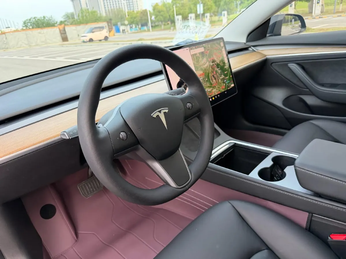 2021 Tesla Model 3 BEV 55KWH,autocango,china used car exporter,china ev exporter,chinese used car exporter,chinese used ev exporter