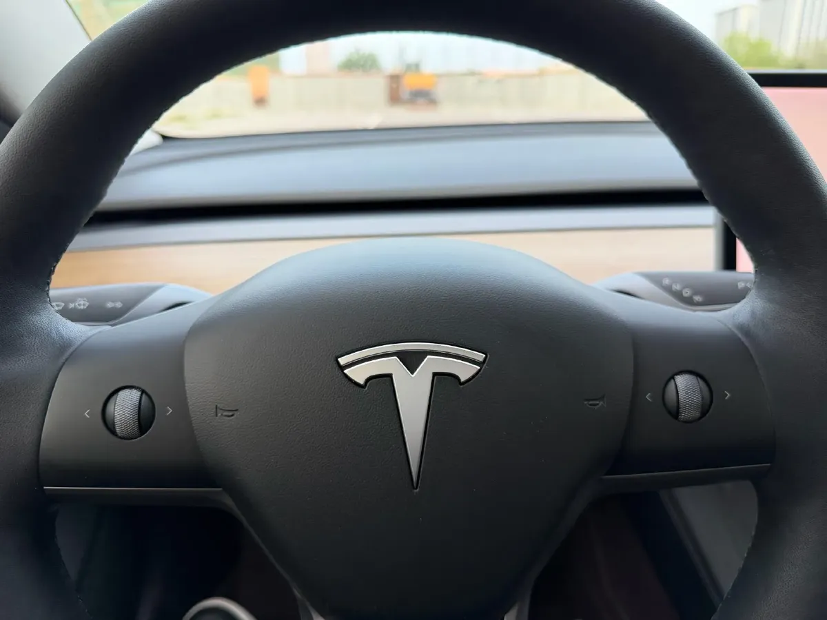 2021 Tesla Model 3 BEV 55KWH,autocango,china used car exporter,china ev exporter,chinese used car exporter,chinese used ev exporter