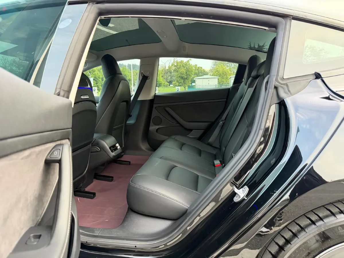 2021 Tesla Model 3 BEV 55KWH,autocango,china used car exporter,china ev exporter,chinese used car exporter,chinese used ev exporter