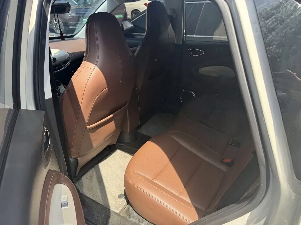 2024 WuLing BinGuo BEV 31.9KWH,autocango,china used car exporter,china ev exporter,chinese used car exporter,chinese used ev exporter