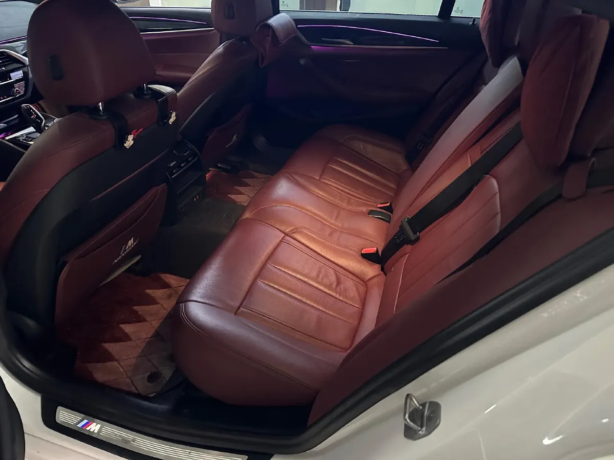 2020 BMW 5 Series 2.0T 252HP L4 8AT,autocango,china used car exporter,china ev exporter,chinese used car exporter,chinese used ev exporter