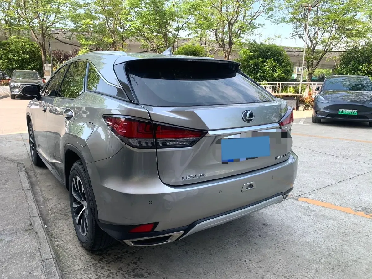 2020 Lexus RX 2.0T 238HP L4 6AT,autocango,china used car exporter,china ev exporter,chinese used car exporter,chinese used ev exporter