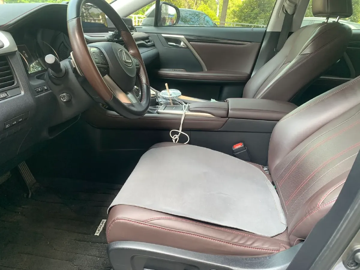 2020 Lexus RX 2.0T 238HP L4 6AT,autocango,china used car exporter,china ev exporter,chinese used car exporter,chinese used ev exporter