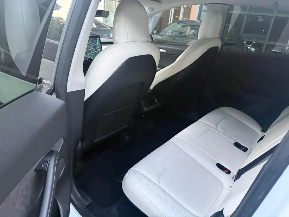 2021 Tesla Model 3 BEV 76.8KWH,autocango,china used car exporter,china ev exporter,chinese used car exporter,chinese used ev exporter