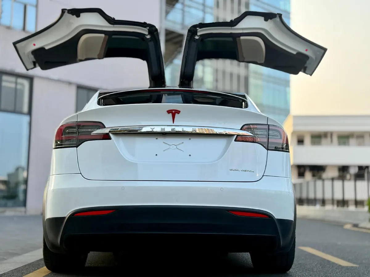 2019 Tesla Model X BEV 100KWH,autocango,china used car exporter,china ev exporter,chinese used car exporter,chinese used ev exporter