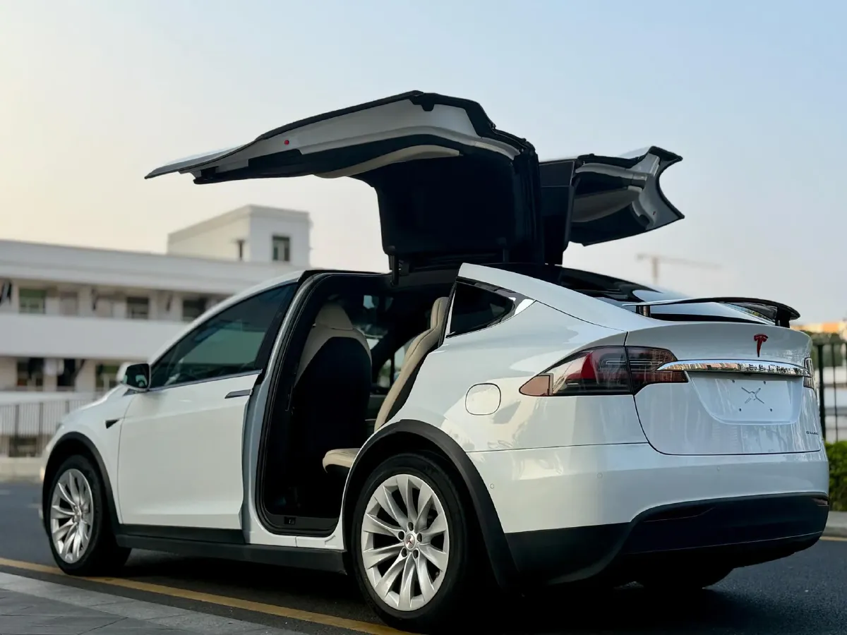 2019 Tesla Model X BEV 100KWH,autocango,china used car exporter,china ev exporter,chinese used car exporter,chinese used ev exporter