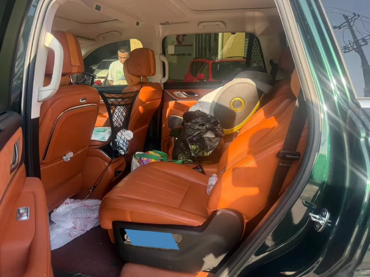 2025 WEY BlueMountain 1.5T 170HP L4 4DHT PHEV 52.3KWH,autocango,china used car exporter,china ev exporter,chinese used car exporter,chinese used ev exporter