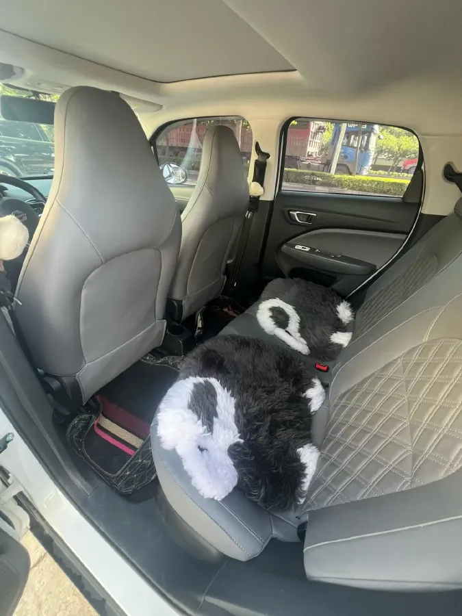 2021 Leapmotor T03 BEV 41KWH,autocango,china used car exporter,china ev exporter,chinese used car exporter,chinese used ev exporter