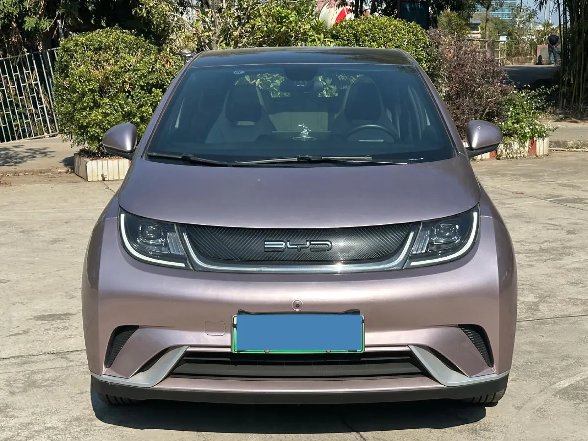 2021 BYD Yuan Pro BEV 50.1KWH,autocango,china used car exporter,china ev exporter,chinese used car exporter,chinese used ev exporter