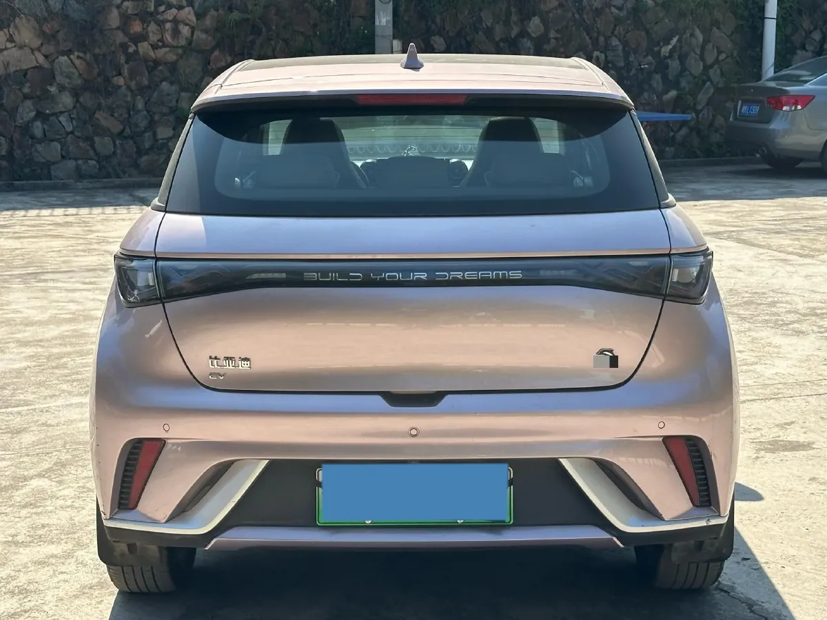 2021 BYD Yuan Pro BEV 50.1KWH,autocango,china used car exporter,china ev exporter,chinese used car exporter,chinese used ev exporter