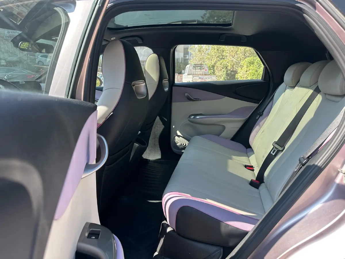 2021 BYD Yuan Pro BEV 50.1KWH,autocango,china used car exporter,china ev exporter,chinese used car exporter,chinese used ev exporter