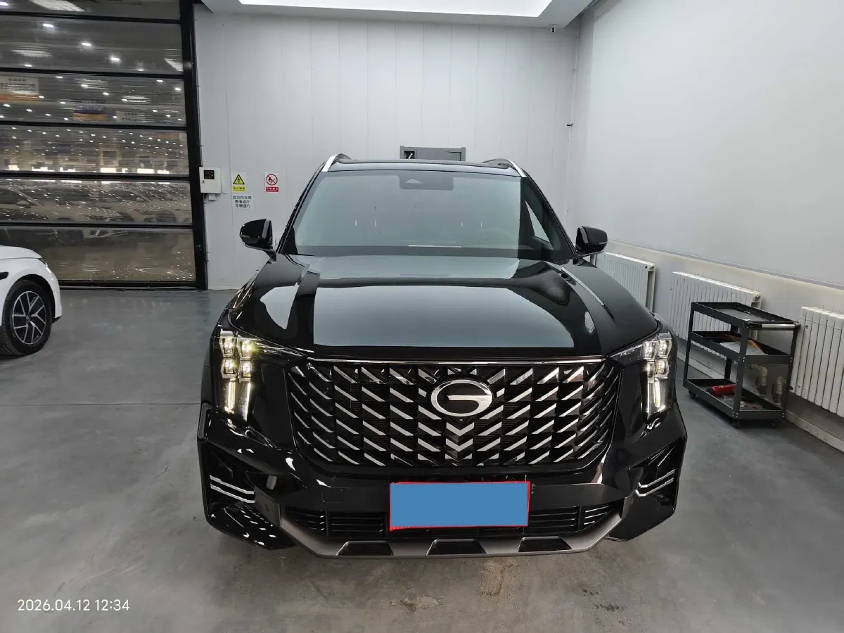 2025 GAC Trumpchi GS8 2.0T 252HP L4 8AT,autocango,china used car exporter,china ev exporter,chinese used car exporter,chinese used ev exporter