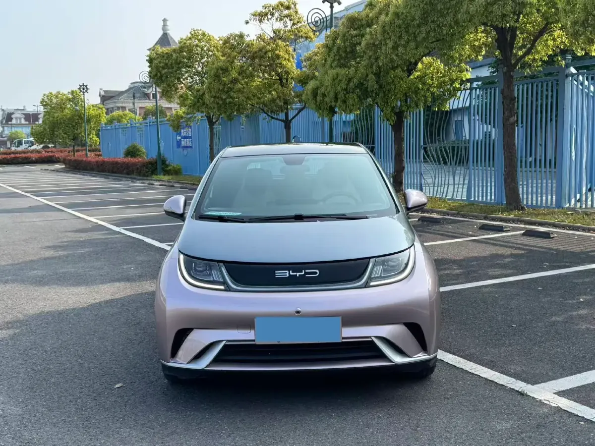 2021 BYD Yuan Pro BEV 50.1KWH,autocango,china used car exporter,china ev exporter,chinese used car exporter,chinese used ev exporter