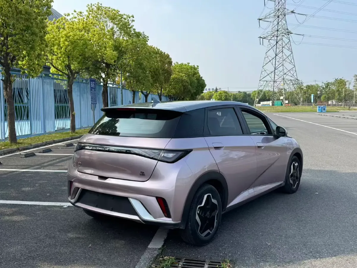 2021 BYD Yuan Pro BEV 50.1KWH,autocango,china used car exporter,china ev exporter,chinese used car exporter,chinese used ev exporter