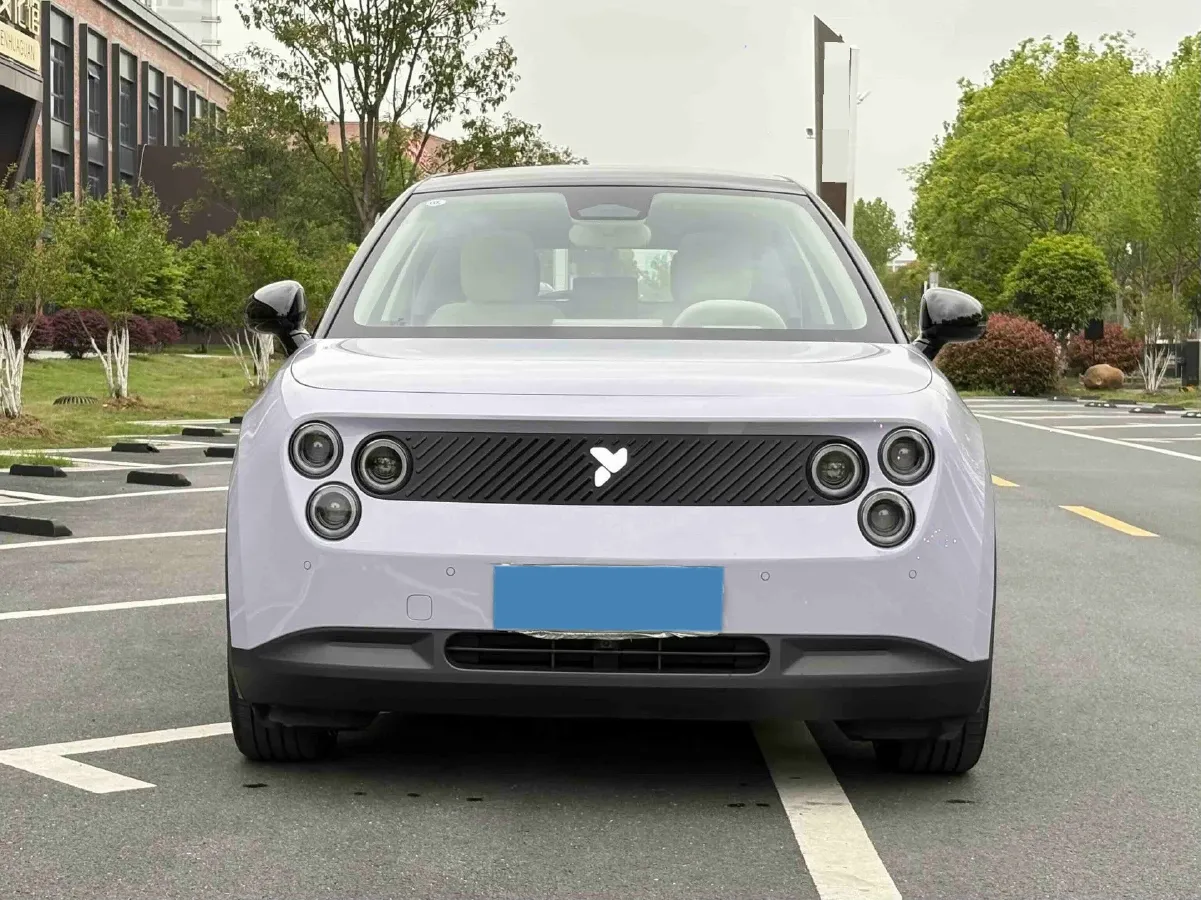 2025 Firefly Firefly BEV,autocango,china used car exporter,china ev exporter,chinese used car exporter,chinese used ev exporter