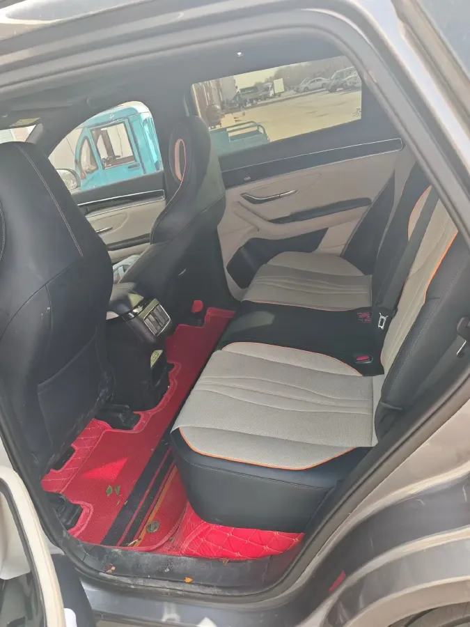 2021 SRM Sea Lion EV BEV 41.86KWH,autocango,china used car exporter,china ev exporter,chinese used car exporter,chinese used ev exporter