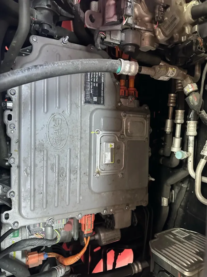 2025 BYD Dolphin BEV 44.928KWH,autocango,china used car exporter,china ev exporter,chinese used car exporter,chinese used ev exporter