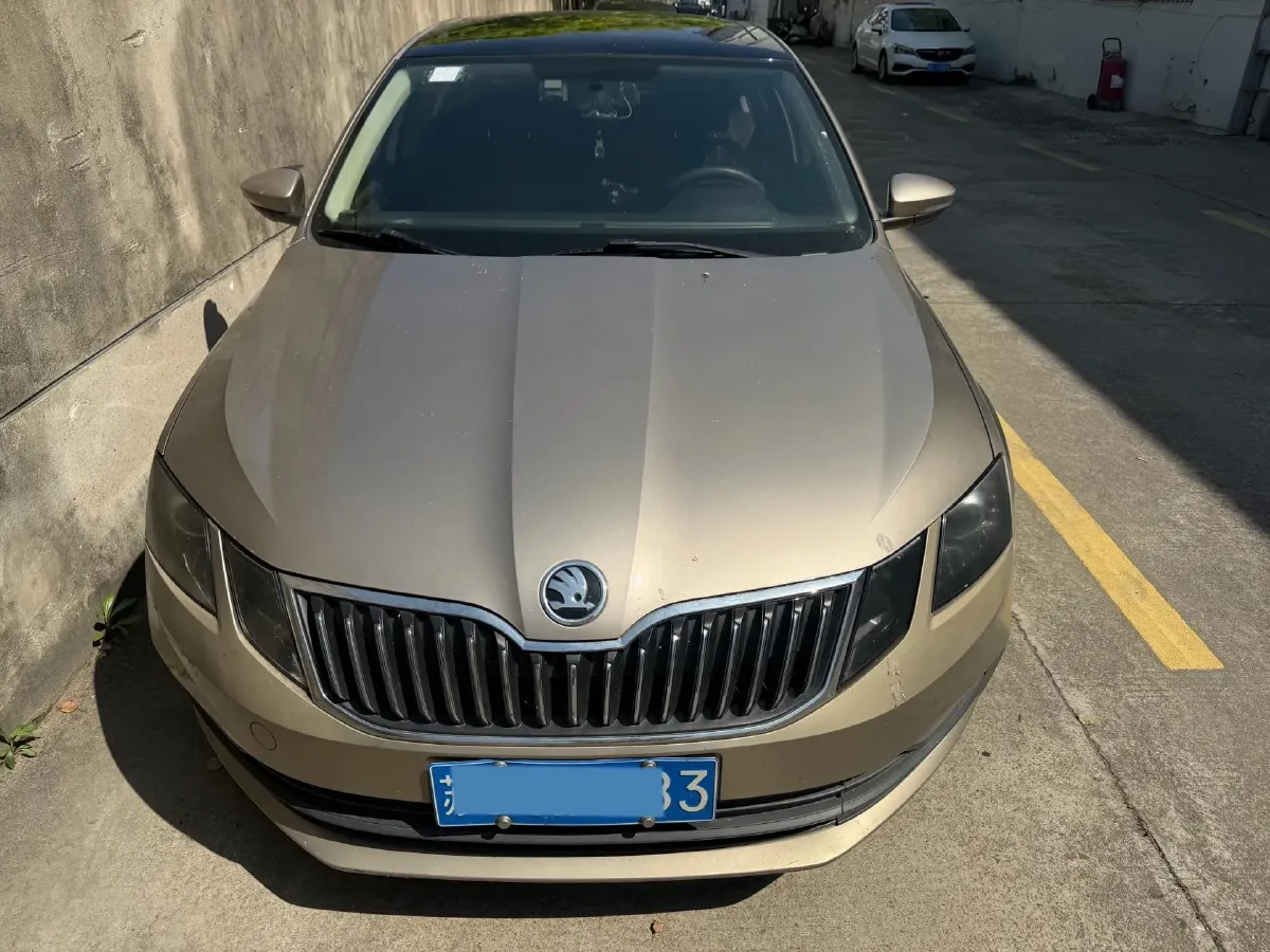 2019 Skoda Octavia 1.2T 116HP L4 7DCT,autocango,china used car exporter,china ev exporter,chinese used car exporter,chinese used ev exporter