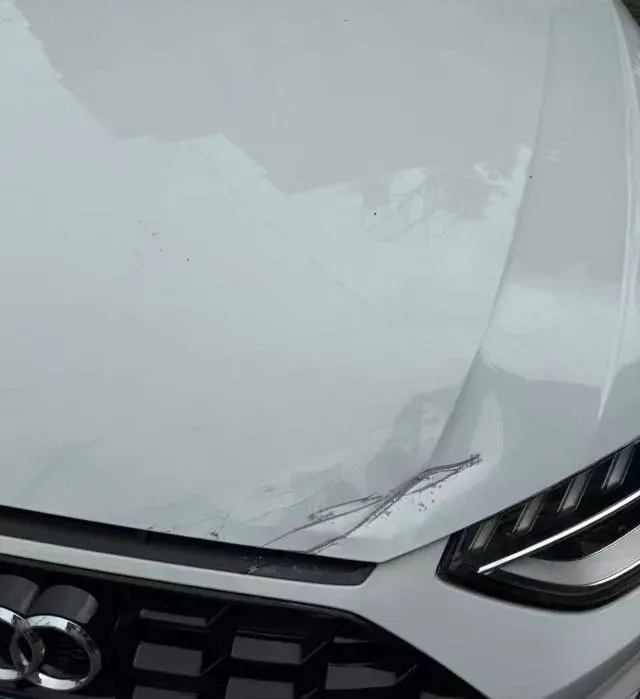 2024 Audi A4L 2.0T 190HP L4 7DCT,autocango,china used car exporter,china ev exporter,chinese used car exporter,chinese used ev exporter